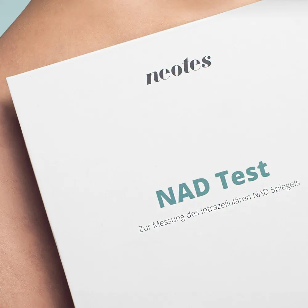 NAD-Test-Haut